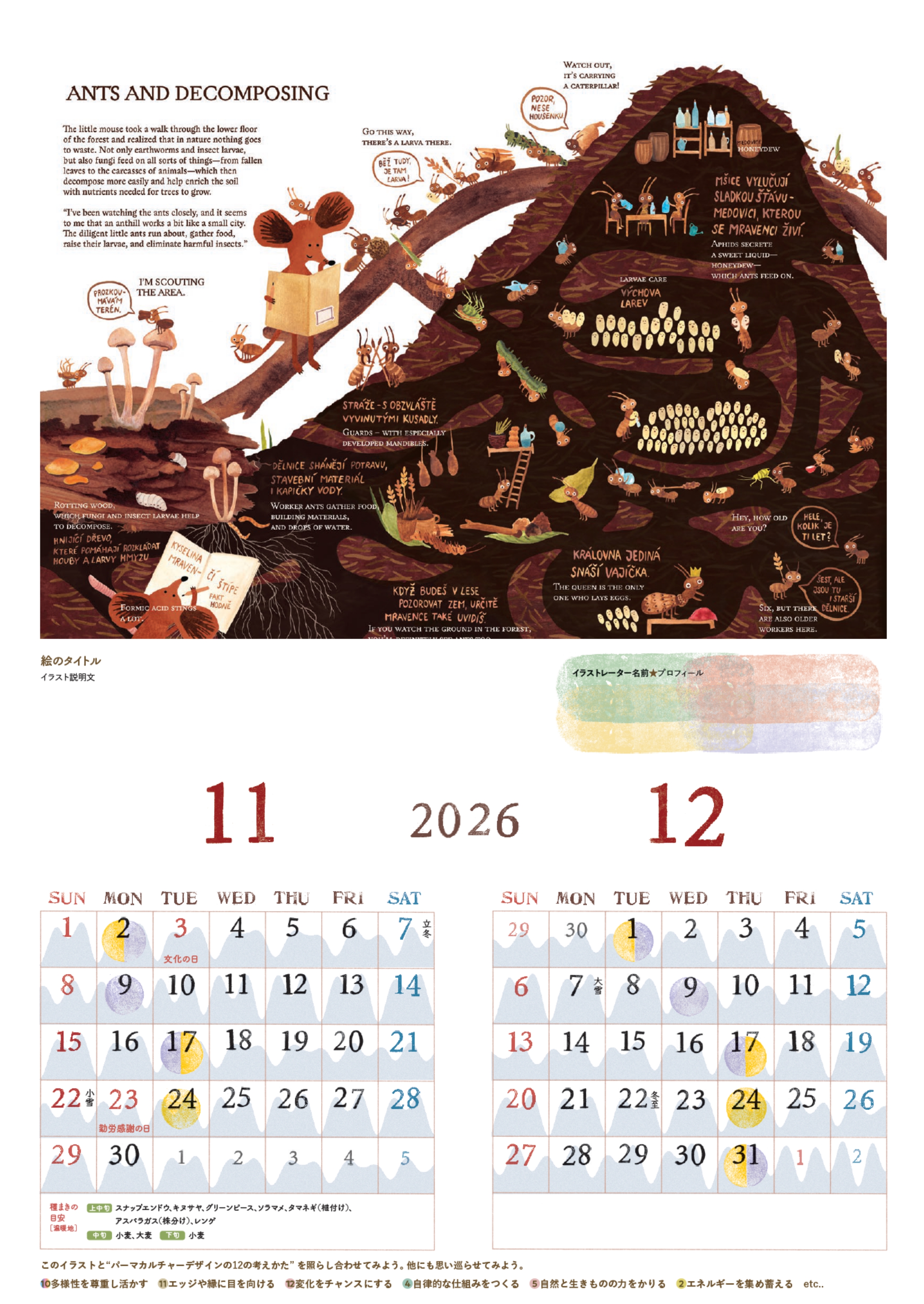 11-12月
