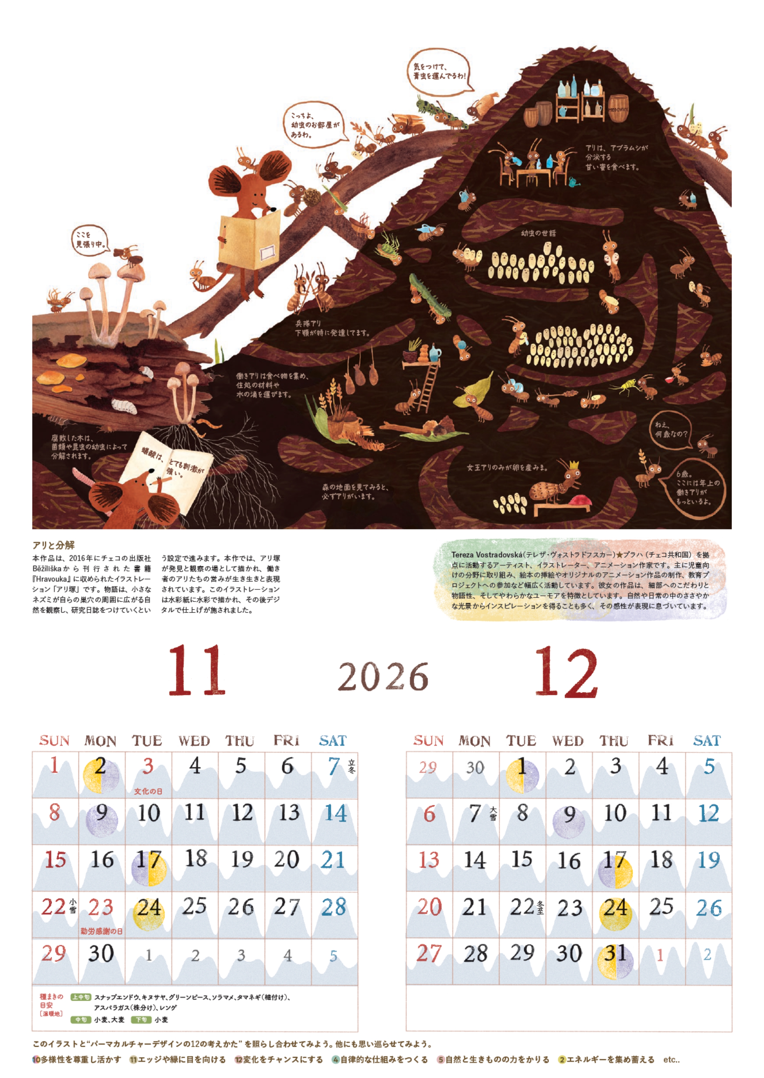 11-12月