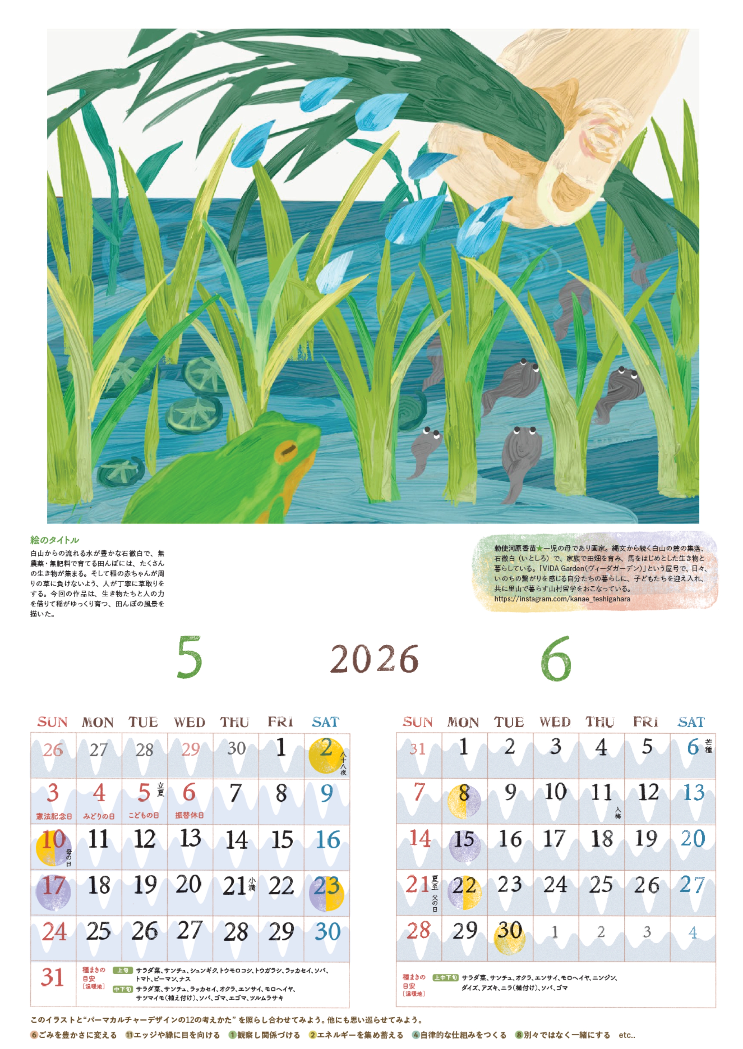 5-6月